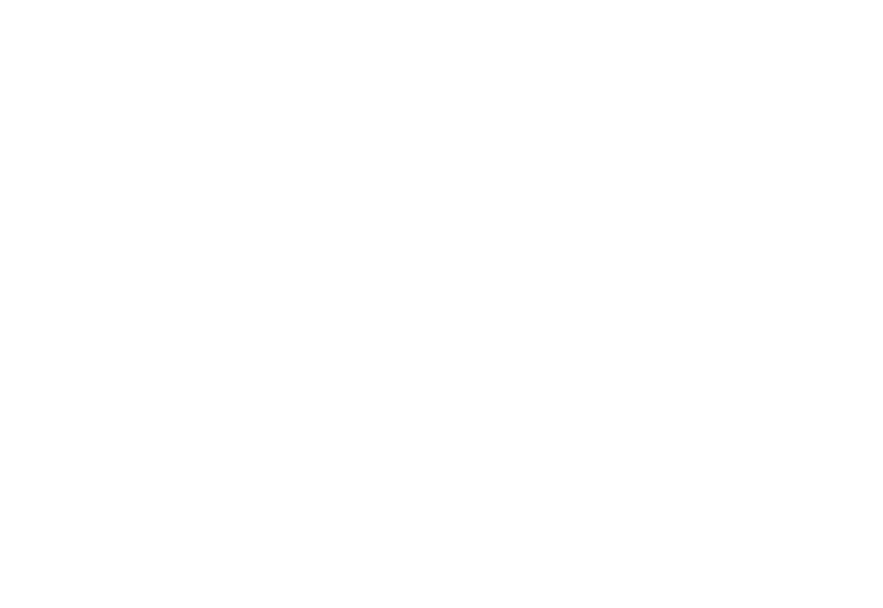 Lucy's Cleaning and Landscaping Logo